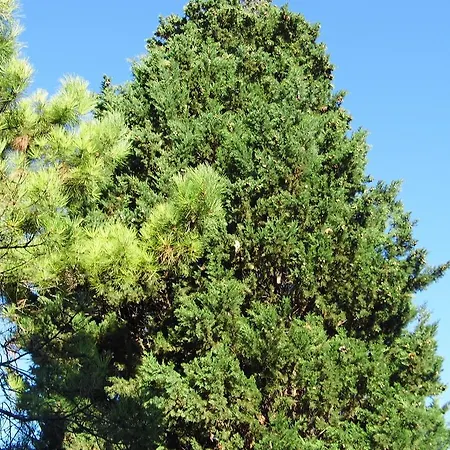 Poggiotella Montespertoli
